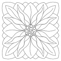 poinsettia star 001